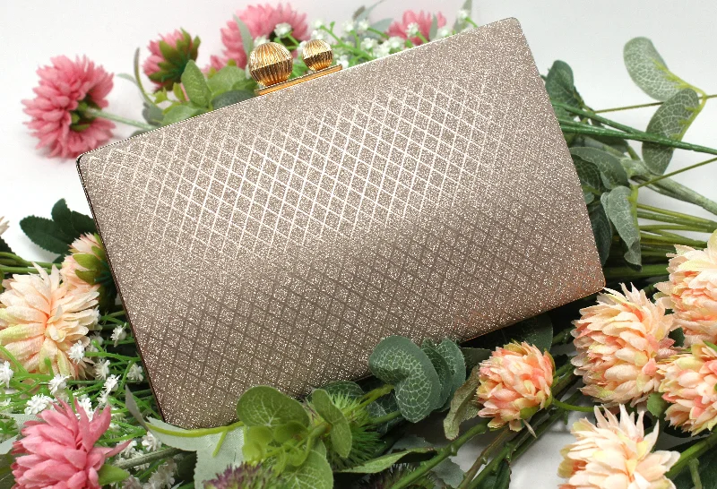 Metallic Clutch Bag Fashionable Bags With Special Seasonal Offers